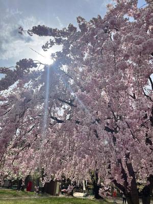 みなの写メ日記｜クラブ貴公子 吉原大衆店ソープ