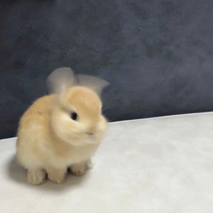 ちかの写メ日記｜クラブ貴公子 吉原大衆店ソープ