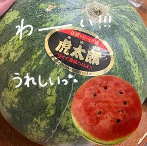 はるの写メ日記｜クラブ貴公子 吉原大衆店ソープ