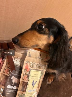 りこの写メ日記｜クラブオアシス 吉原大衆店ソープ