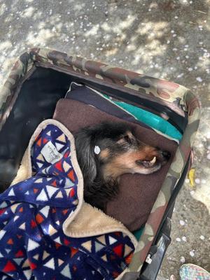 りこの写メ日記｜クラブオアシス 吉原大衆店ソープ