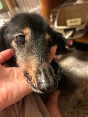 りこの写メ日記｜クラブオアシス 吉原大衆店ソープ