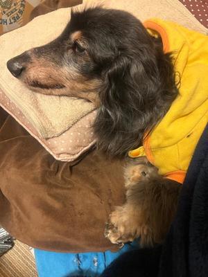 りこの写メ日記｜クラブオアシス 吉原大衆店ソープ