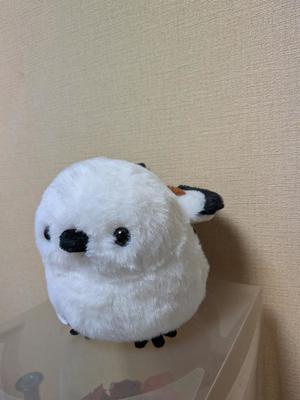 淳（じゅん）の写メ日記｜クラブオアシス 吉原大衆店ソープ
