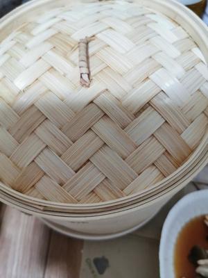 ゆうこの写メ日記｜クラブオアシス 吉原大衆店ソープ