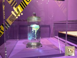 ほのかの写メ日記｜クラブオアシス 吉原大衆店ソープ