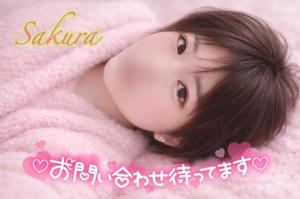 さくらの写メ日記｜クラブオアシス 吉原大衆店ソープ