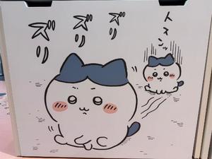 さくらの写メ日記｜クラブオアシス 吉原大衆店ソープ