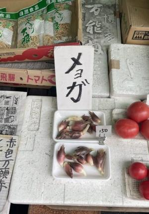 みわの写メ日記｜クラブオアシス 吉原大衆店ソープ