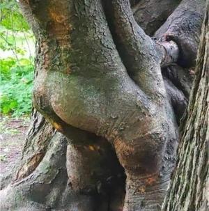 みわの写メ日記｜クラブオアシス 吉原大衆店ソープ