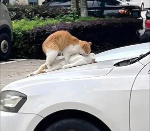 みわの写メ日記｜クラブオアシス 吉原大衆店ソープ