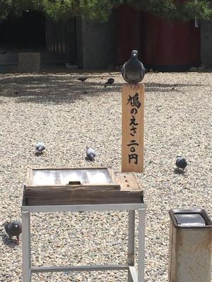 みわの写メ日記｜クラブオアシス 吉原大衆店ソープ
