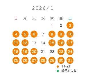 白鳥 聖の写メ日記｜コルドンブルー 吉原高級店ソープ