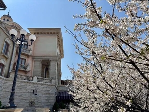 つばきの写メ日記｜コルドンブルー 吉原高級店ソープ