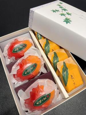 泉宮　さくらの写メ日記｜エル・カーヒル 秘密の刻 吉原高級店ソープ