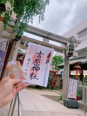 一ノ瀬　あやこの写メ日記｜エル・カーヒル 秘密の刻 吉原高級店ソープ
