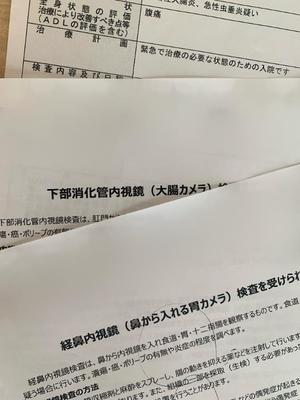 一ノ瀬　あやこの写メ日記｜エル・カーヒル 秘密の刻 吉原高級店ソープ