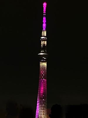 一ノ瀬　あやこの写メ日記｜エル・カーヒル 秘密の刻 川崎高級店ソープ