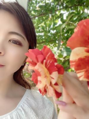 一ノ瀬　あやこの写メ日記｜エル・カーヒル 秘密の刻 吉原高級店ソープ