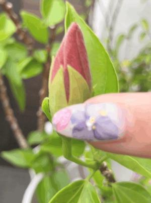 一ノ瀬　あやこの写メ日記｜エル・カーヒル 秘密の刻 吉原高級店ソープ