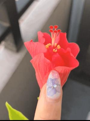 一ノ瀬　あやこの写メ日記｜エル・カーヒル 秘密の刻 吉原高級店ソープ