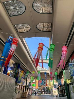 一ノ瀬　あやこの写メ日記｜エル・カーヒル 秘密の刻 吉原高級店ソープ