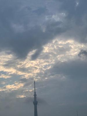 一ノ瀬　あやこの写メ日記｜エル・カーヒル 秘密の刻 吉原高級店ソープ