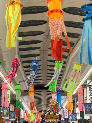 一ノ瀬　あやこの写メ日記｜エル・カーヒル 秘密の刻 吉原高級店ソープ