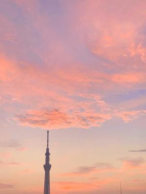 一ノ瀬　あやこの写メ日記｜エル・カーヒル 秘密の刻 吉原高級店ソープ