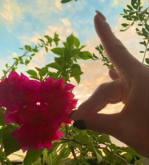 一ノ瀬 あやこの写メ日記|エル・カーヒル 秘密の刻 吉原高級店ソープ