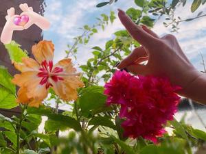 一ノ瀬 あやこの写メ日記|エル・カーヒル 秘密の刻 吉原高級店ソープ