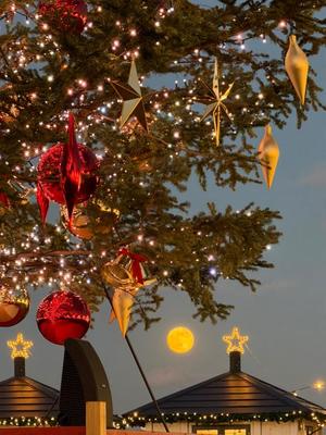 一ノ瀬　あやこの写メ日記｜エル・カーヒル 秘密の刻 川崎高級店ソープ