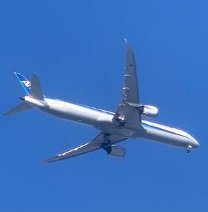 一ノ瀬　あやこの写メ日記｜エル・カーヒル 秘密の刻 川崎高級店ソープ