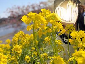 一ノ瀬　あやこの写メ日記｜エル・カーヒル 秘密の刻 川崎高級店ソープ