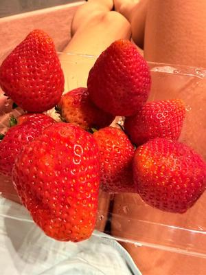 一ノ瀬　あやこの写メ日記｜エル・カーヒル 秘密の刻 吉原高級店ソープ