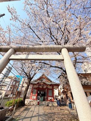 一ノ瀬　あやこの写メ日記｜エル・カーヒル 秘密の刻 吉原高級店ソープ