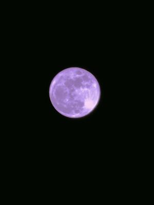 一ノ瀬　あやこの写メ日記｜エル・カーヒル 秘密の刻 川崎高級店ソープ