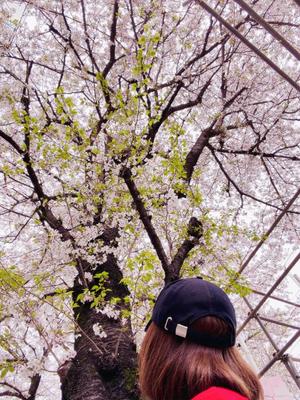 一ノ瀬　あやこの写メ日記｜エル・カーヒル 秘密の刻 川崎高級店ソープ