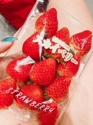 一ノ瀬　あやこの写メ日記｜エル・カーヒル 秘密の刻 吉原高級店ソープ