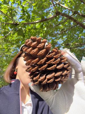 一ノ瀬　あやこの写メ日記｜エル・カーヒル 秘密の刻 吉原高級店ソープ