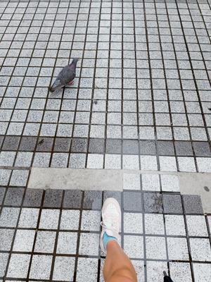 一ノ瀬　あやこの写メ日記｜エル・カーヒル 秘密の刻 吉原高級店ソープ
