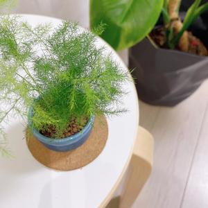 倉多　みなみの写メ日記｜エル・カーヒル 秘密の刻 吉原高級店ソープ
