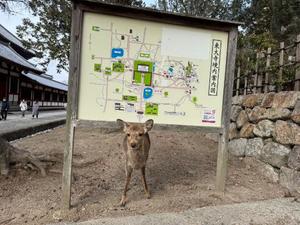 天使　つむぎの写メ日記｜エル・カーヒル 秘密の刻 吉原高級店ソープ