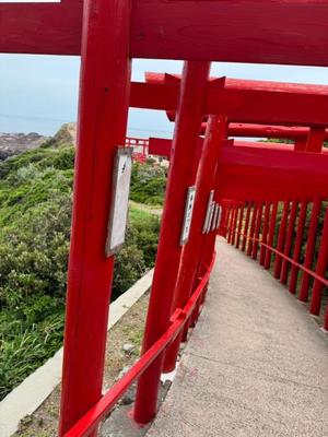 天使　つむぎの写メ日記｜エル・カーヒル 秘密の刻 吉原高級店ソープ