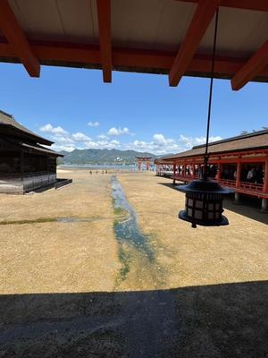 天使　つむぎの写メ日記｜エル・カーヒル 秘密の刻 川崎高級店ソープ