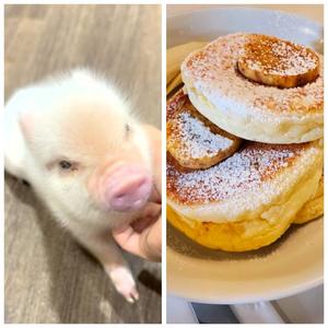 冴島　れいかの写メ日記｜エル・カーヒル 秘密の刻 川崎高級店ソープ