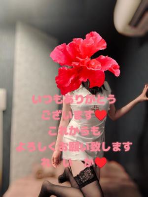 冴島　れいかの写メ日記｜エル・カーヒル 秘密の刻 吉原高級店ソープ