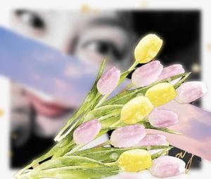 篠田　まやの写メ日記｜エル・カーヒル 秘密の刻 吉原高級店ソープ