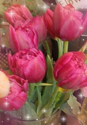 篠田　まやの写メ日記｜エル・カーヒル 秘密の刻 川崎高級店ソープ