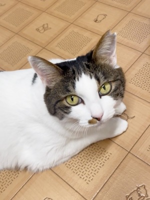 Chiaki Arimaの写メ日記｜エレガント 吉原高級店ソープ